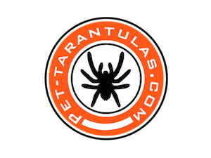 tarantula-company-logo